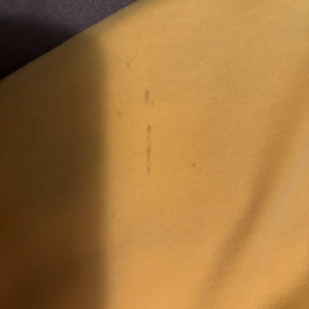 Polo by Ralph Lauren (4 Shirts) - Picture 15 of 15